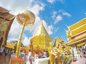 滇臺連線 共繪國內(nèi)旅游新圖景