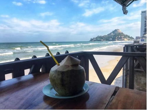 2022年 出境游曙光初現，國內旅游迎來新機遇